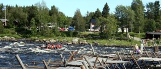 Gränslös fest för siken