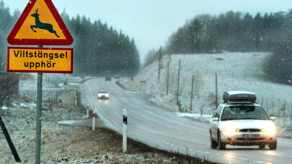 Viltstängsel  utmed väg 134 önskar sig insändarskribenterna.arkivbild: peter jigerström