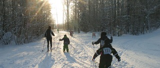 En snöigt Skidans Dag