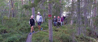 Mycket att upptäcka på Solanderledens dag 