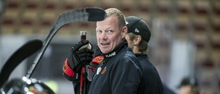 Han kan bli näste man att förlänga med Luleå Hockey