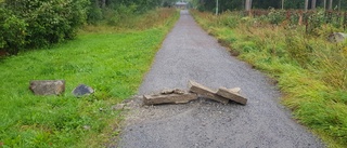 Vi vill ha ett riktigt trafikhinder