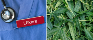 Läkare behandlade sin inneboende med narkotika ✓Skrev ut cannabis och 1 000 tabletter ✓Lånade ut 100 000