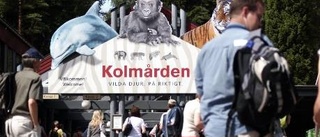 Kolmården vald till Nordens bästa djurpark