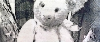 25 år sedan: Känd teddybjörn räddade vargar