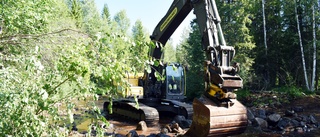 Satsar på att restaurera gamla flottlederna i Bureälven