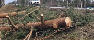 Stormen fäller träd över vägar • Trafikverket varnar • Räddningstjänsten ryckte ut för att hjälpa nattpatrullen i Tuna