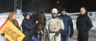 Överraskande vinnare i storloppet: "Världens nallebjörn"