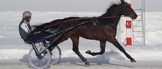 De största flopparna på Skelleftetravet 2014