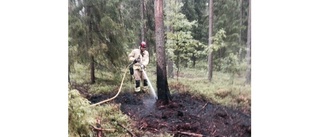 Nytt larm om skogsbrand