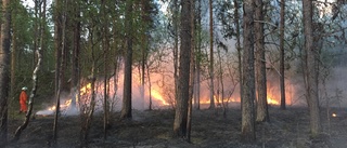 Korsträskbranden: Började i en elstolpe