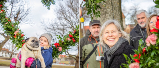 Regionens hjärtliga överraskning till gotlänningarna