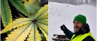 Valdemarsvik fortsatt i topp – mest cannabis i avloppet i hela länet