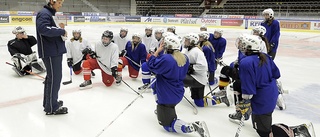 Andersson får jobb i högsta serien