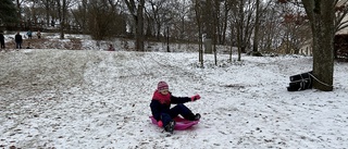 Äntligen är det pulkasnö i Skolparken 