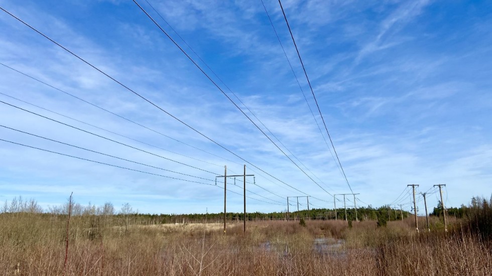 Utbyggnadstakten av elnätet behöver öka, skriver företrädare för Energiföretagen.