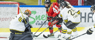 Så var rapporteringen från mötet mellan Luleå och AIK!