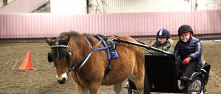 Jullovskul för hästintresserade barn 