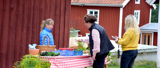 Blandade aktiviteter lockade till Brotorp