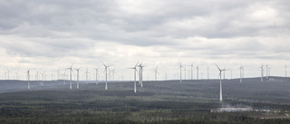 Markförstöring och tveksamma länder som ägare