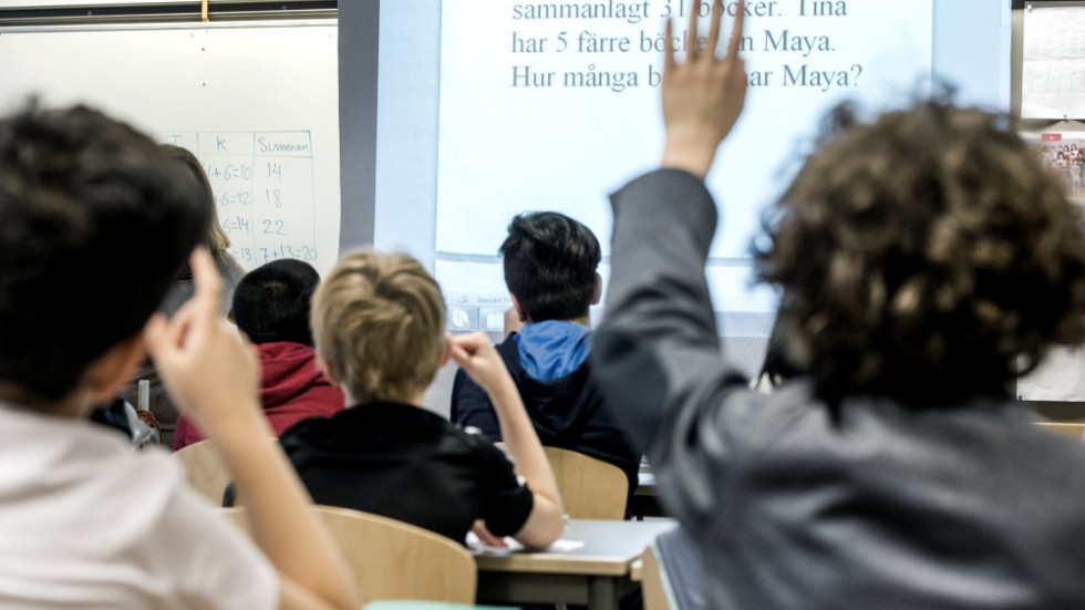 Att lägga ner byaskolor gör det omöjligt bibehålla en levande landsbygd, menar insändarskribenten.