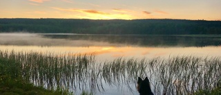 Läsarbilden; himmel över Tjärnberg