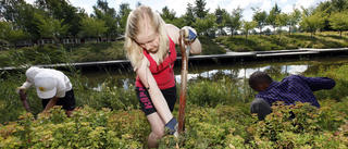 Så mycket tjänar ungdomarna på kommunens sommarjobb