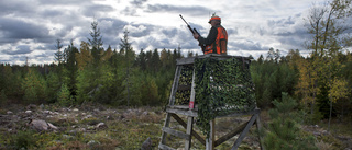 Jägare och sportskyttar i regeringens skottglugg