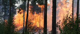 Östergötland får varmare, blötare och torrare klimat