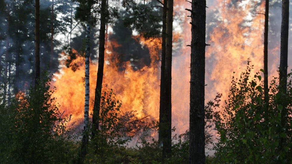 Risken för skogsbränder är nu mycket hög i delar av  östra och nordöstra Norrbortten.