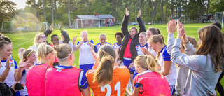 Ny tränare klar för division 1-laget