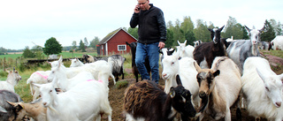 "Oststjärnan" fick tuffa hälsobeskedet – bosatte sig på fjället utan el och vatten