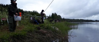 Storfångster för Norsjö SFK under SM i mete