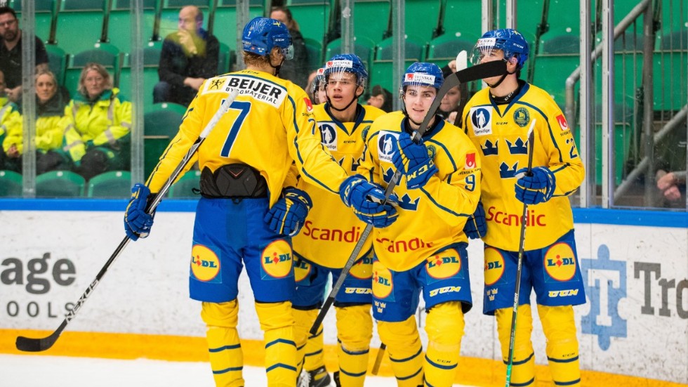 Daniel Ljungman, LHC-spelaren, gratuleras efter sitt första mål i landskampen mot Tjeckien. 