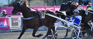 Regerande mästaren klar för Elitloppet