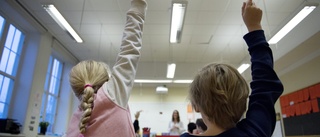 –Alliansen har svårt att hålla ihop sina tankar kring gotländsk skola.