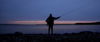 Böter för laxfiske utan tillstånd