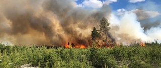 Misstänkt brott vid stor skogsbrand