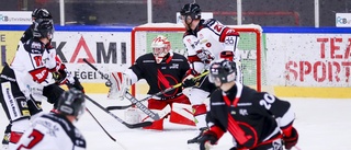 Boden Hockey värvar – hämtar ännu en spelare från rivalen Kalix