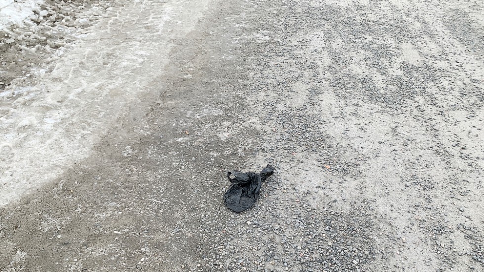 Låt hundägarna belata tömningen av hundlatrinerna, anser skribenten.