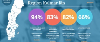 SD-förslaget sågades av regionstyrelsen 