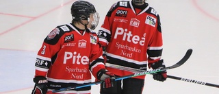 Piteå Hockey lyfter upp nya juniorer i a-lagstruppen