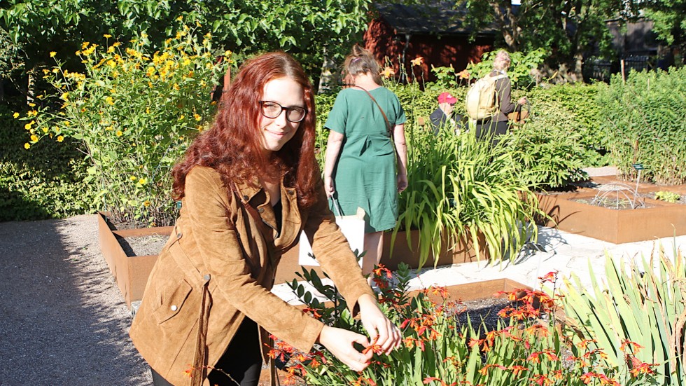 Bonnie Öhman, trädgårdsmästare Botaniska trädgården Visby, vid sin favoritblomma (en Motbretia) i klonarkivet. Hon gillar blommans starka färger.