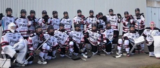 Piteå Hockey imponerade – klart för DM-final mot Luleå