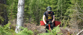 Skogsnäringen bygger både välfärd och klimatnytta