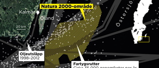 Tung fartygstrafik genom känsligt naturområde