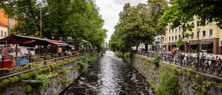 Det ska vara svårt att ta bilen i Uppsala