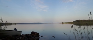 Läsarbilden: Morgon i skärgården