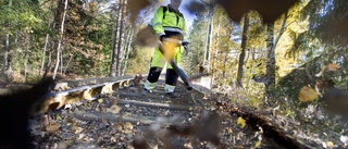 Efter allt tågstrul – nu kommer den förrädiska lövhalkan ✓Problemsträckan ✓Då blir det värst ✓Så jobbar Trafikverket