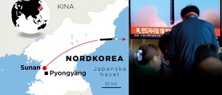 Aktivt Nordkorea testar ännu en robot